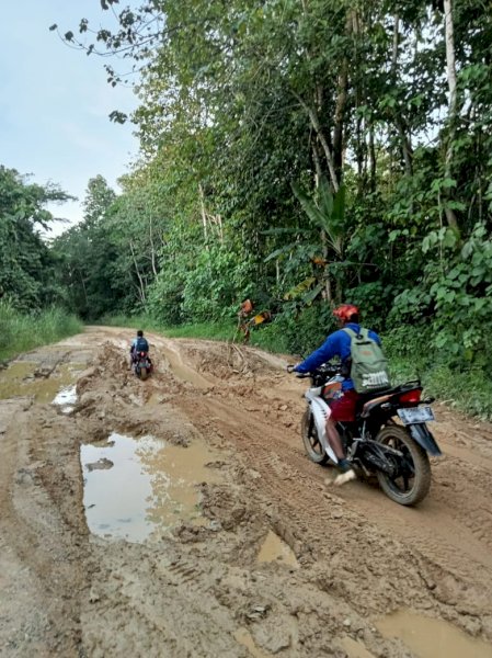 LPADKT Telen minta Pemkab Kutim prioritaskan perbaikan akses jalan utama Kecamatan Telen